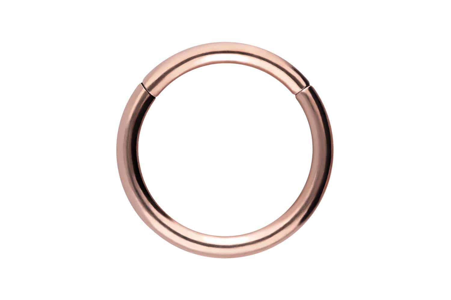 Chirurgenstahl Segmentring Clicker Piercing